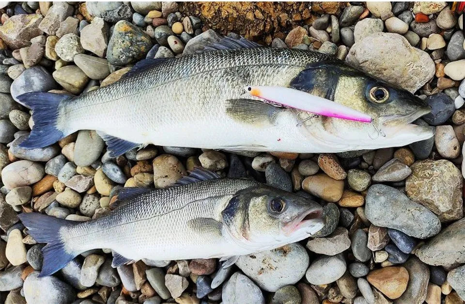 Sinking Minnow Fishing Baits140mm Saltwater Lures Pike Big Game Sea Fishing Tackle Stinger Hard Wobbler