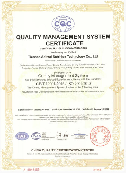 Hot Sale Fashion Women 2 Piece Set Hooded Tops + Pants Solid Winter Fleece Tracksuit Sweatshirt Sweater Hoodies Suits