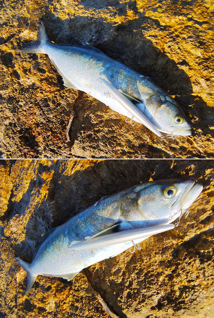 Floating Minnow Fishing Lure DW110 STINGER 163mm 31g Sea Fishing Hard Bait Piura Seabass Baits