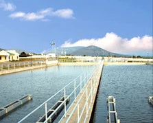 Hot Sale Fashion Women 2 Piece Set Hooded Tops + Pants Solid Winter Fleece Tracksuit Sweatshirt Sweater Hoodies Suits