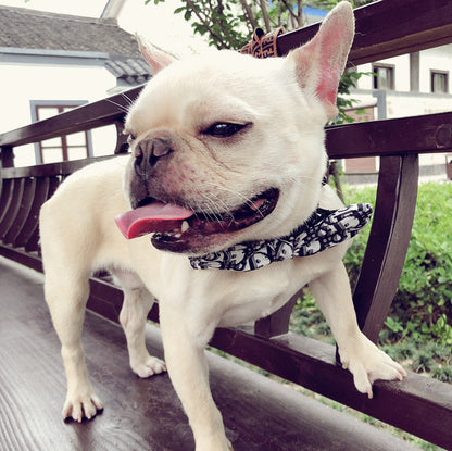 Handsome Dog Bow Tie Collar-4