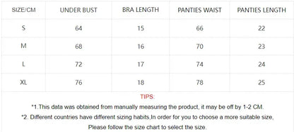Lingerie Sexy Delicate Underwear Lace Embroidery Bilizna Set Fairy Intim Goods Onlyfans Kit Beautiful Brief Sets