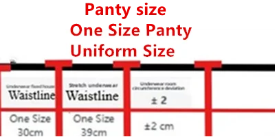 French Embroidery Lace Bralette Wireless Triangle Cup Bra for Women Elegant Lingerie Set Thin Straps Small Chest Cover MOYISU