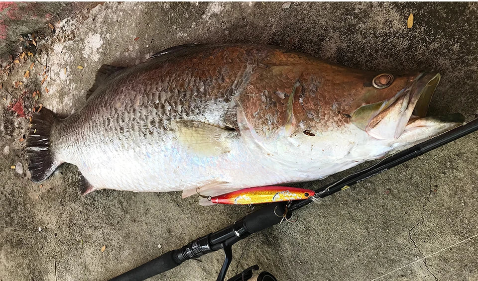 31g Floating Minnow STINGER 160F Saltwater Fishing Lure  Ultra-long Casting Hard Baits 500G Large Baits