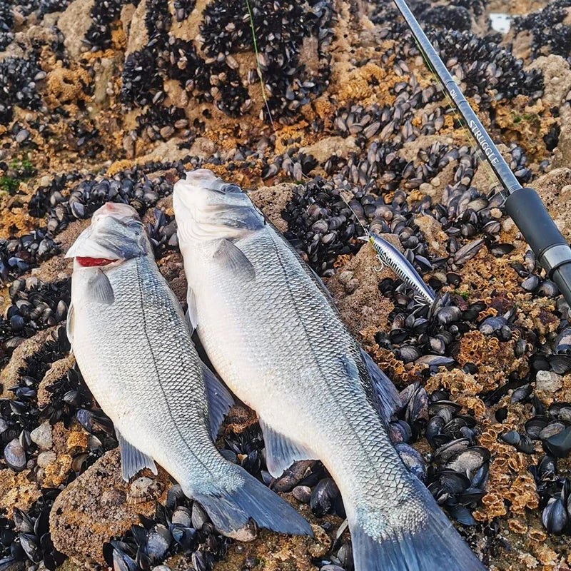 Floating Minnow 120mm 19g Long Casting Sea Fishing Lure STINGER  Center Of Gravity Hard Baits