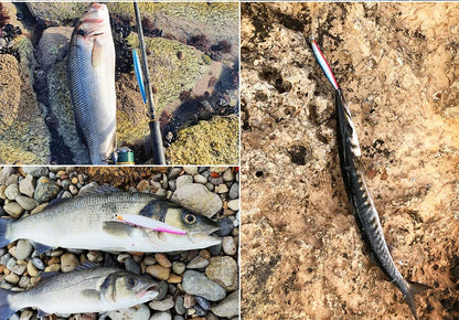 Minnow Sea Fishing Lure STINIGER 140mm 26g Piston Weight Ultra Long Casting Seabass Inshore Hard Baits