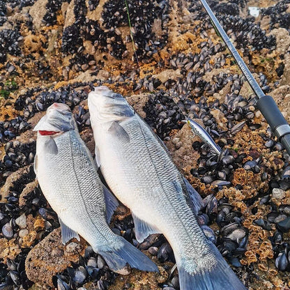 120F Ultra-long Casting Floating Saltwater Minnow 120mm 19g  Weight Artificial Bait