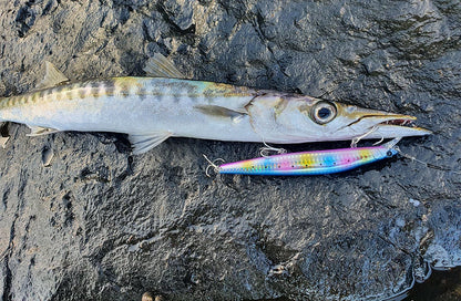 Minnow Sea Fishing Lure STINIGER 140mm 26g Piston Weight Ultra Long Casting Seabass Inshore Hard Baits